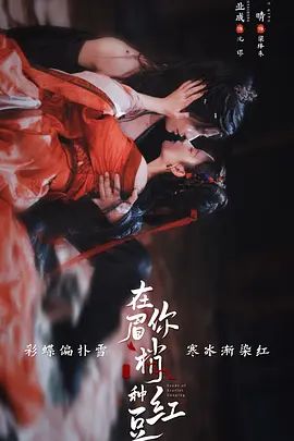 在你眉梢种红豆电视剧